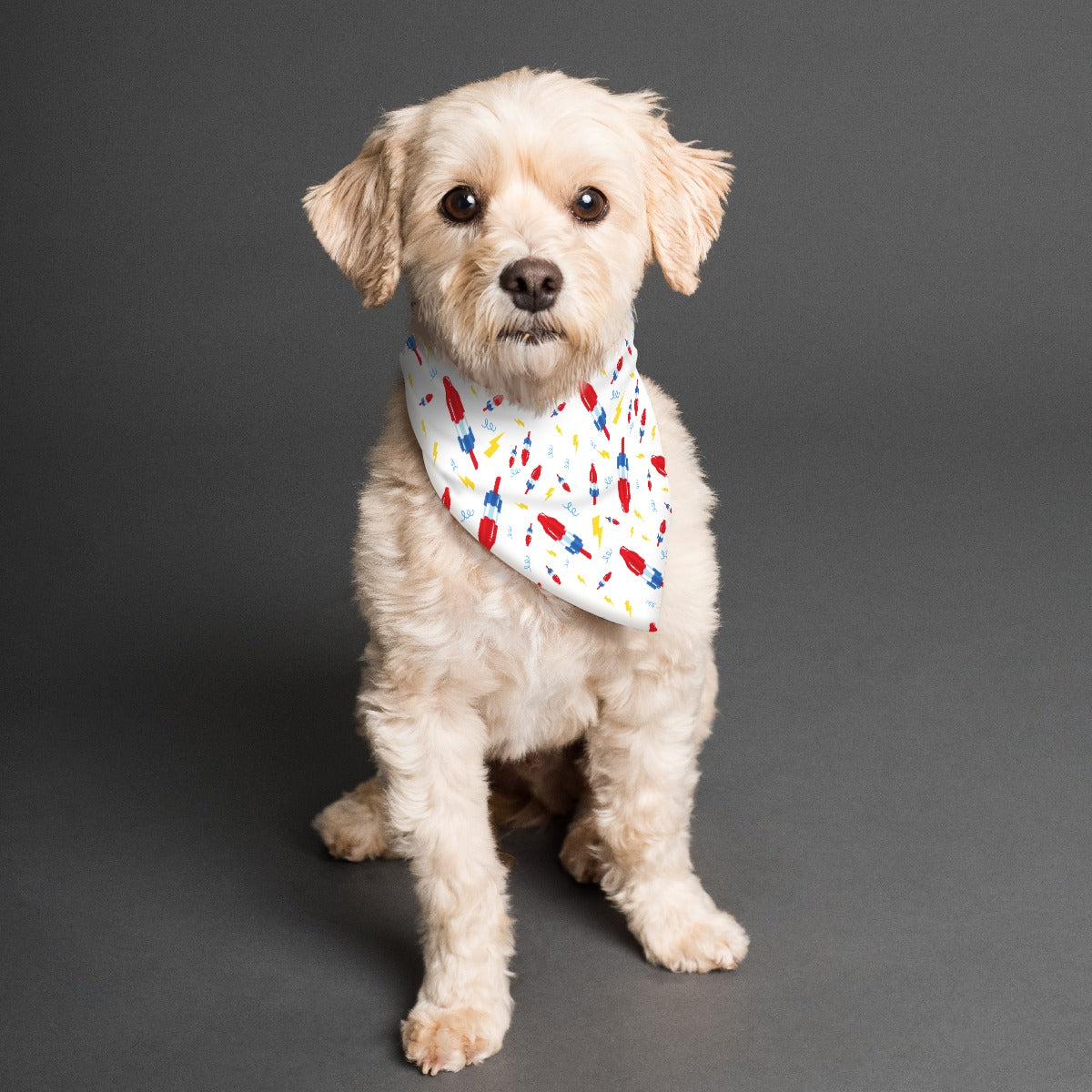Popsicles Pup Scarf